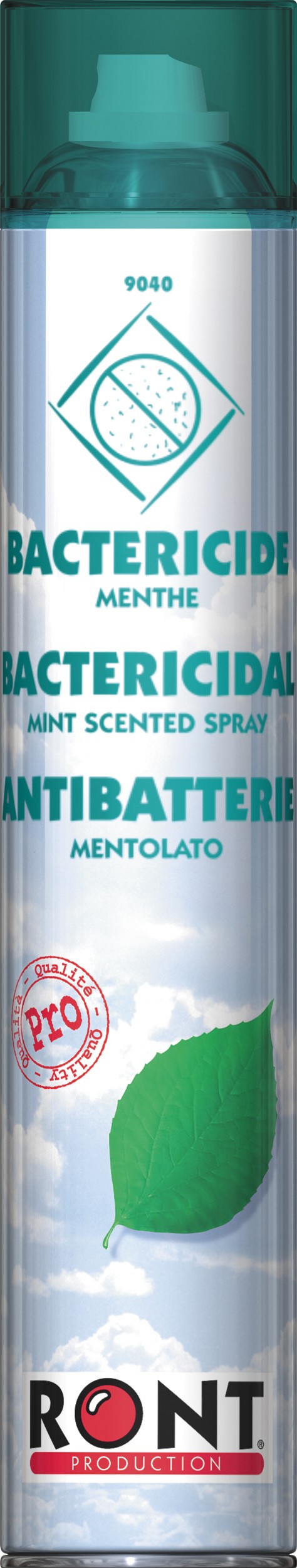 BACTERICIDE MENTHE - Aérosol 1 000 mL