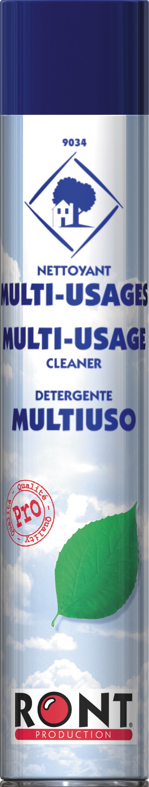 NETTOYANT MULTI USAGES - Aérosol 1 000 mL