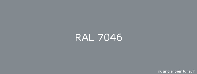 PEINTURE RAL 7046 Gris Telecom2  - Aérosol 400 ML - Belton : 324161