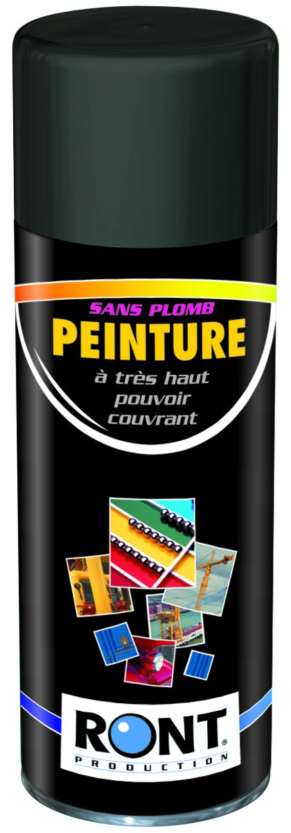 Peinture Gris anthracite DECOHOM